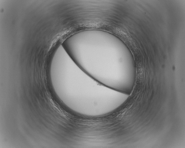 X0000062870688200602031717