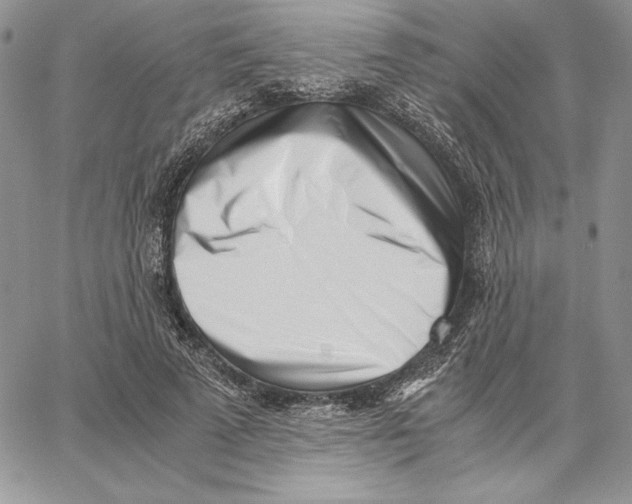 X0000062870689200602031717