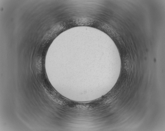 X0000062870690200602031717