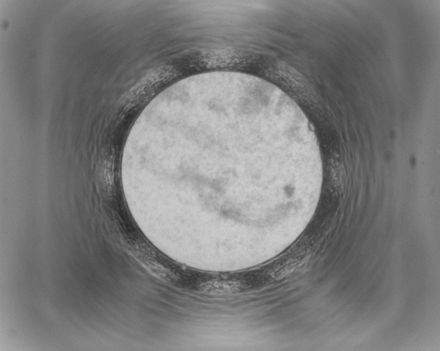 X0000062870691200602031717