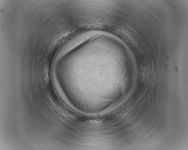 X0000062870692200602031717