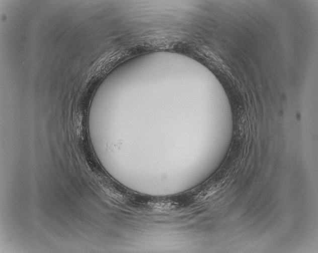 X0000062870693200602031717