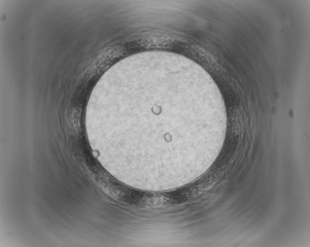 X0000062870695200602031717