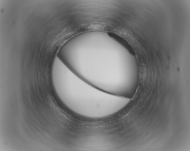 X0000062870696200602031717