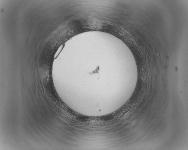 X0000062870697200602031717