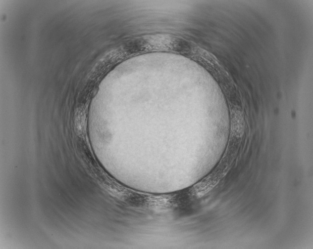 X0000062870701200602031717