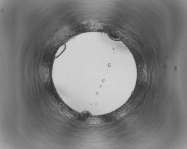 X0000062870704200602031717