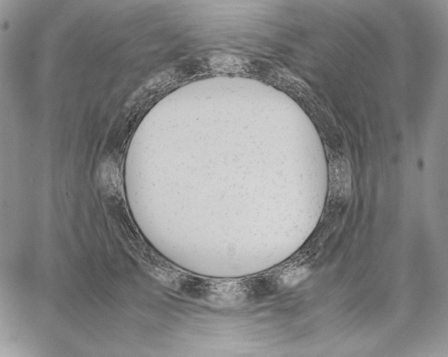 X0000062870705200602031717