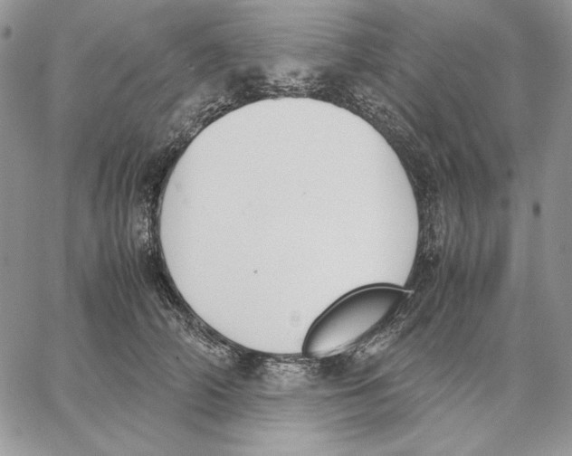 X0000062870706200602031717