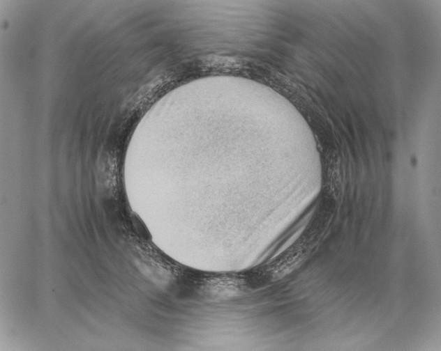 X0000062870708200602031717