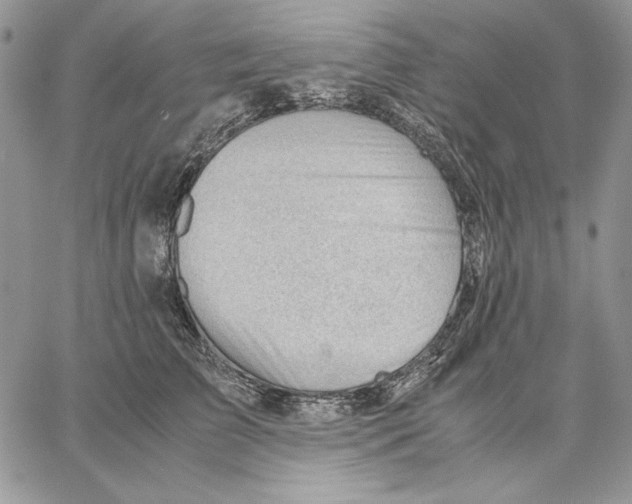 X0000062870709200602031717