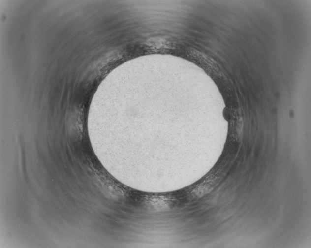 X0000062870710200602031717