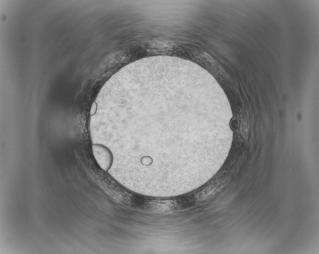 X0000062870711200602031717