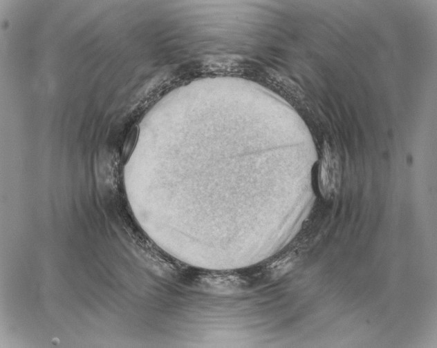 X0000062870712200602031717