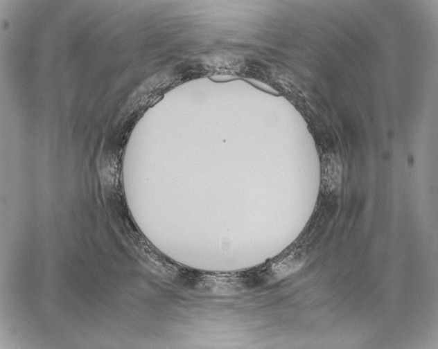 X0000062870713200602031717