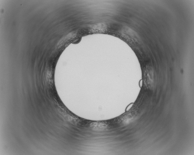 X0000062870714200602031717