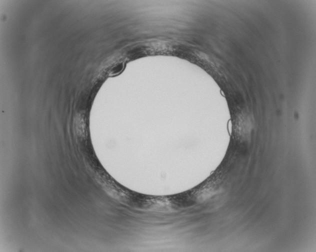 X0000062870715200602031717