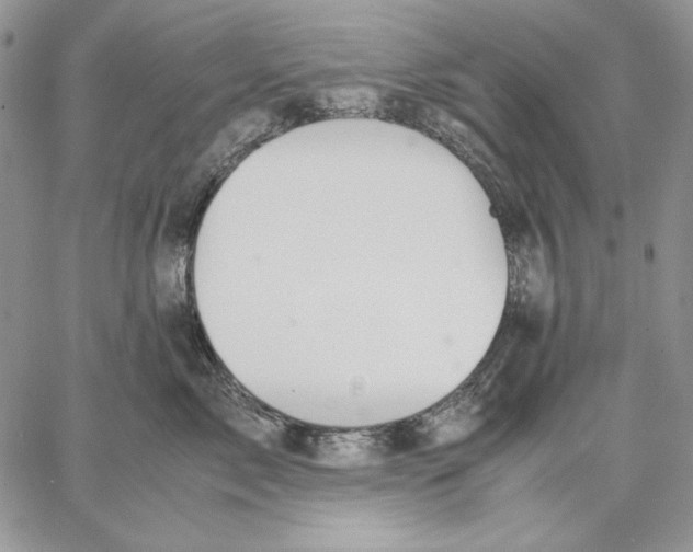 X0000062870717200602031717