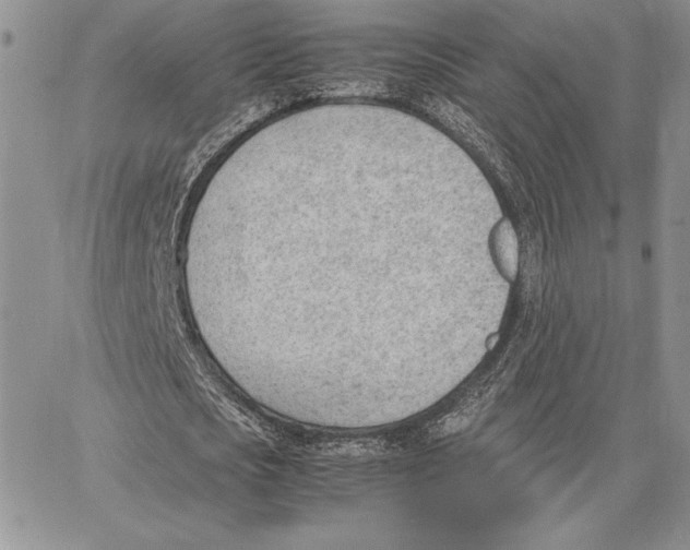 X0000062870721200602031716