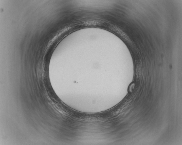 X0000062870722200602031716