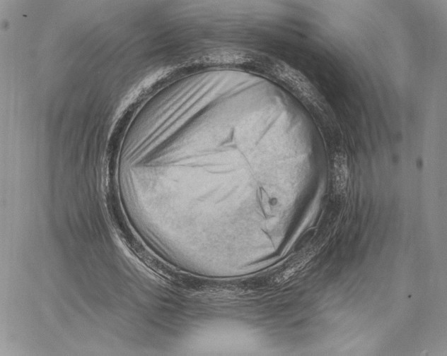 X0000062870726200602031716