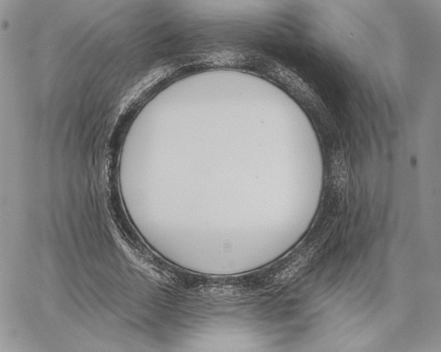 X0000062870730200602031716