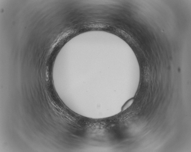 X0000062870731200602031716