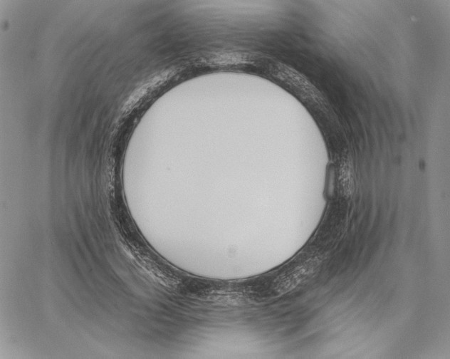 X0000062870732200602031716