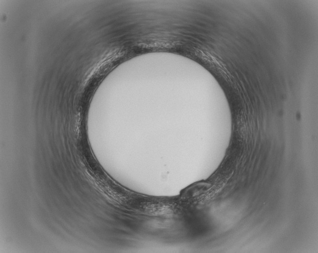 X0000062870735200602031716