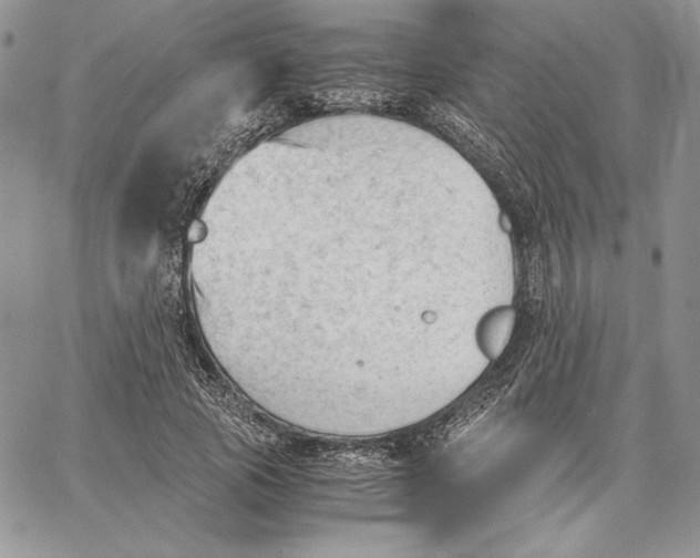 X0000062870737200602031716