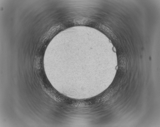 X0000062870738200602031716