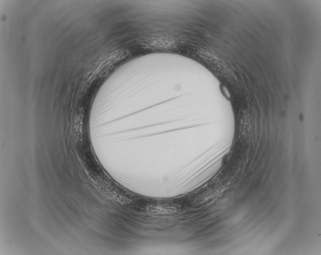 X0000062870739200602031716