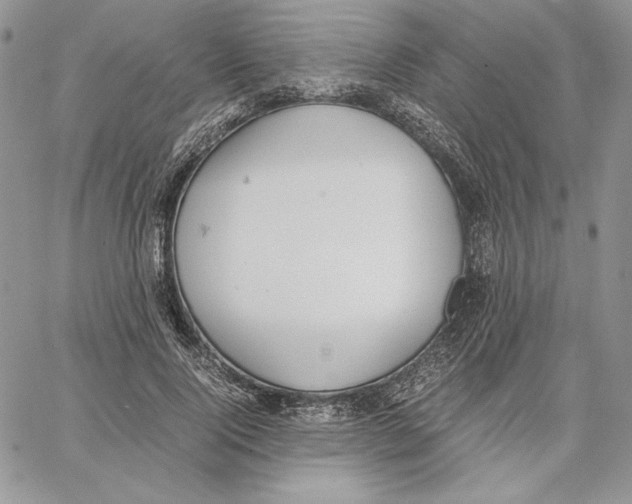 X0000062870740200602031716