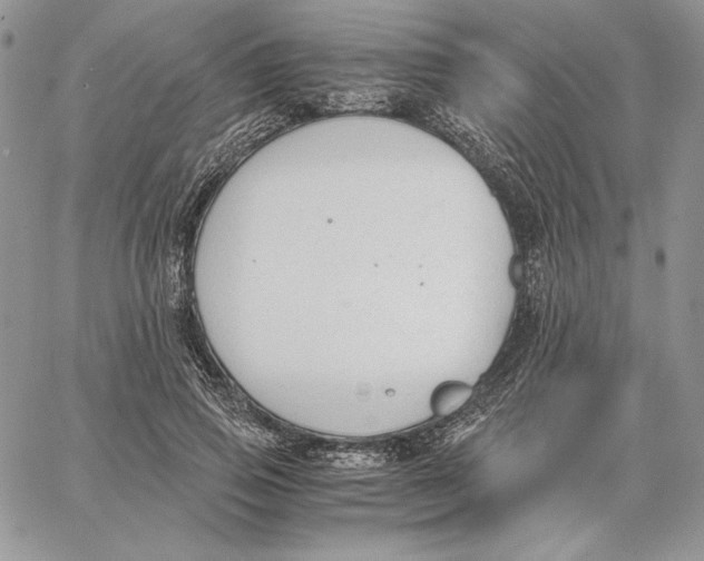 X0000062870741200602031716