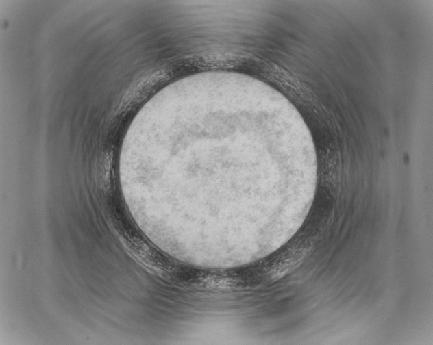 X0000062870742200602031716