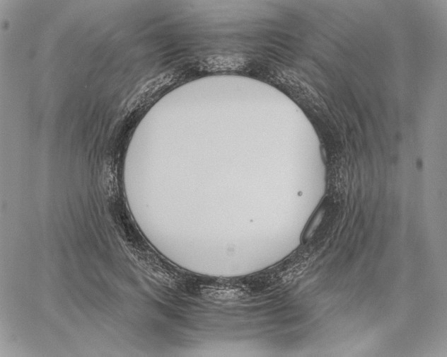 X0000062870743200602031716