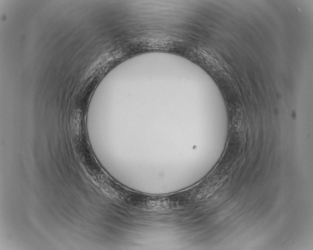 X0000062870744200602031716