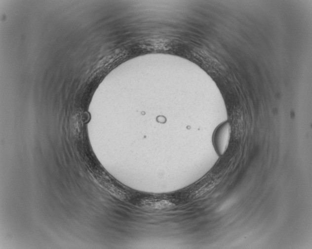 X0000062870747200602031716