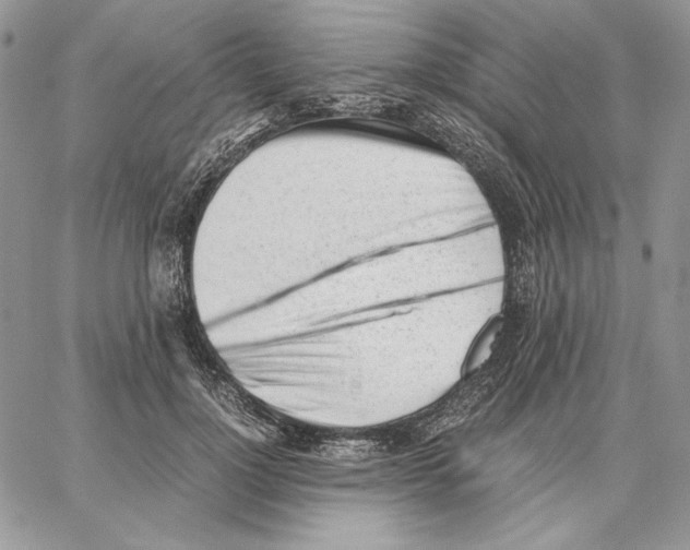 X0000062870748200602031716