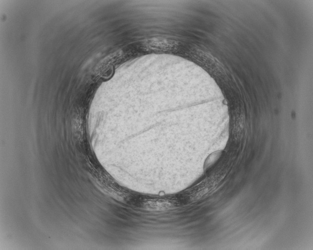 X0000062870749200602031716