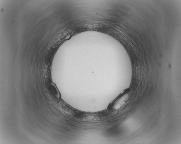 X0000062870750200602031716