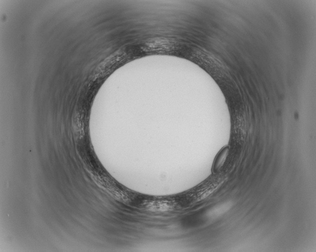 X0000062870751200602031716