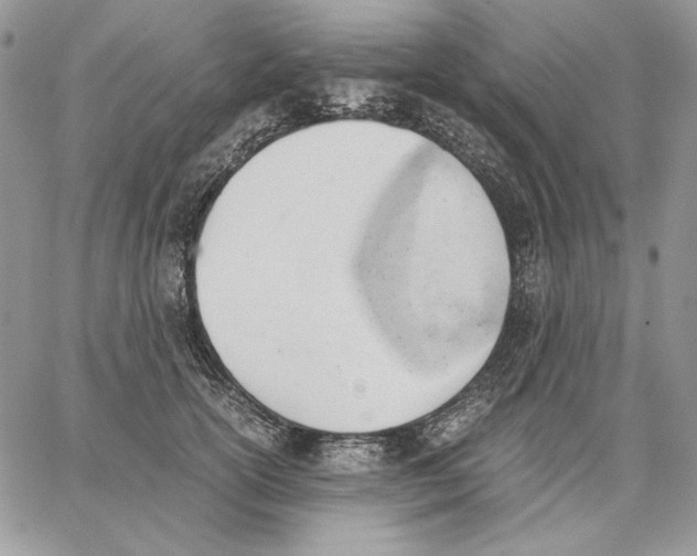 X0000062870754200602031716