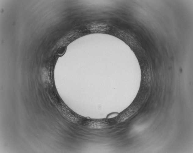 X0000062870755200602031716