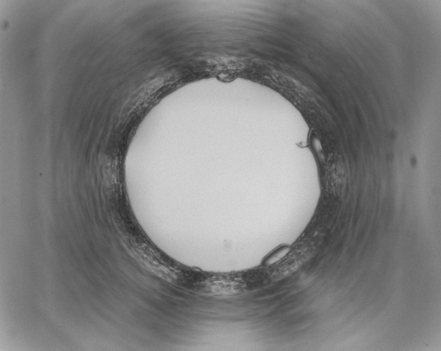 X0000062870756200602031716