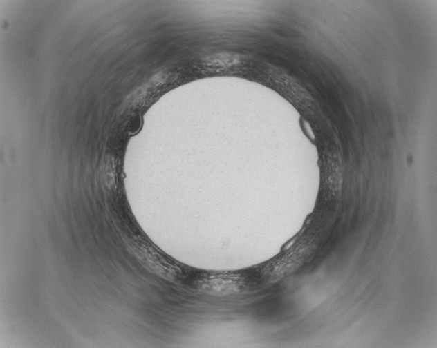 X0000062870758200602031716