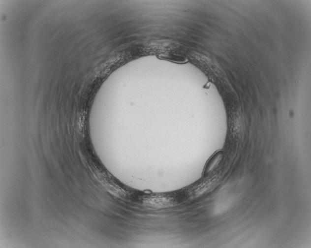 X0000062870759200602031716