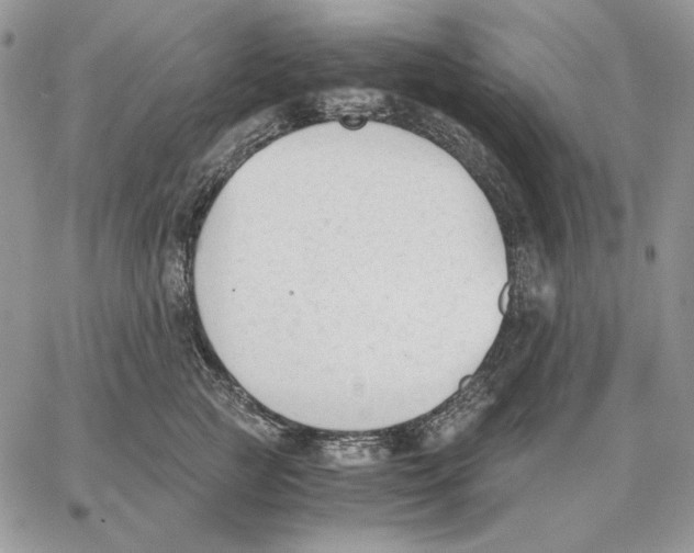 X0000062870761200602031716