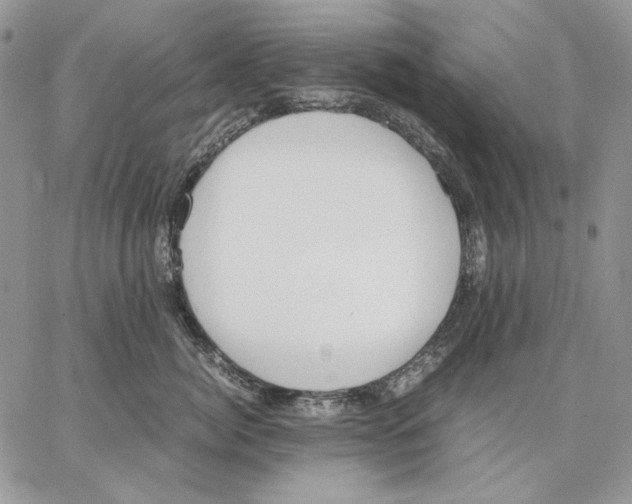 X0000062870764200602031716