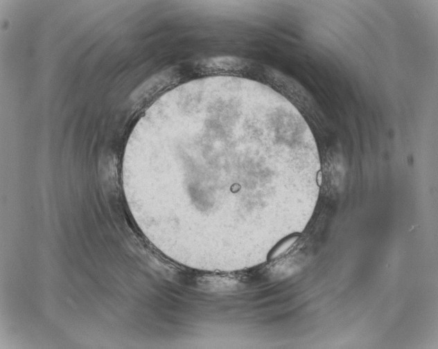 X0000062870765200602031716